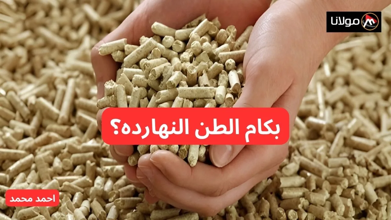 الطن وصل كام ياعم؟.. أسعار الأعلاف اليوم الجمعة 11-10-2024.. سعر الذره اليوم