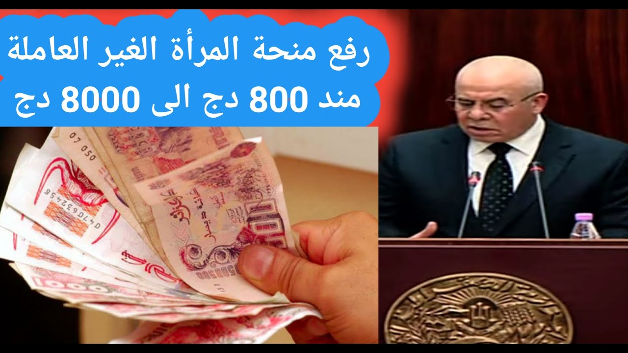 من 800 لـ 8000 !!! حقيقة زيادة منحة المرأة الماكثة في البيت في الجزائر 2024 توضيح الوكالة الوطنية للتشغيل