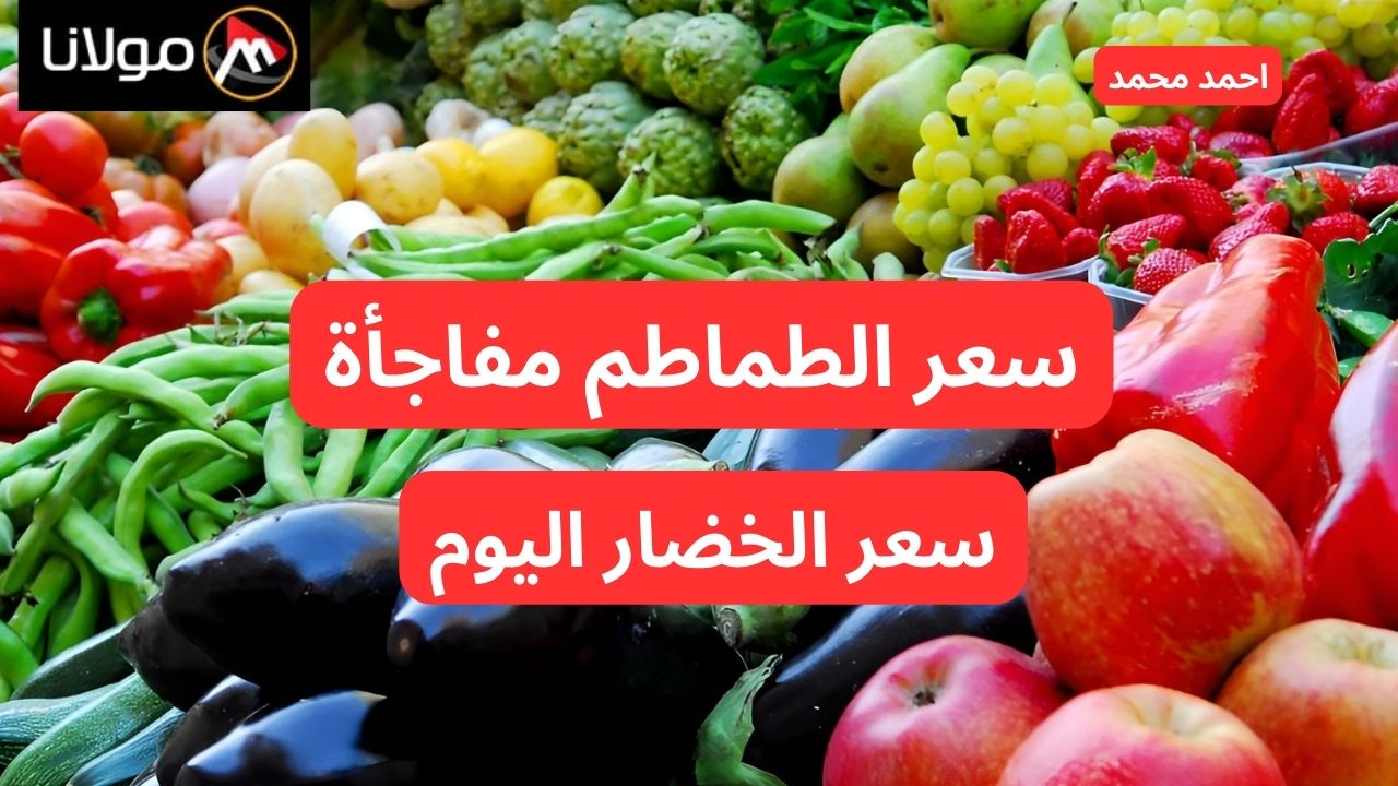 انخفاض مفاجئ في أسعار الأوطه.. سعر الخضار والطماطم اليوم الخميس 10-10-2024