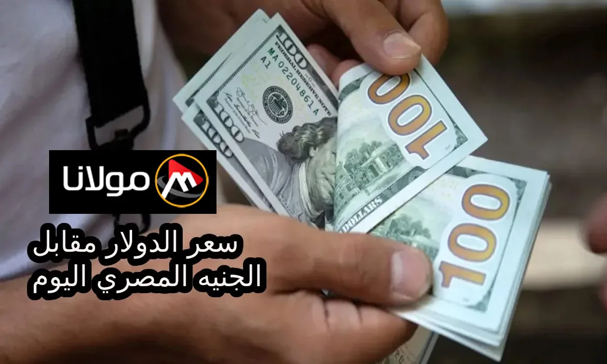 “بعد تثبيت الفائدة” ما هو سعر الدولار مقابل الجنيه المصري اليوم الجمعة 18 اكتوبر 2024 في البنوك المصرية