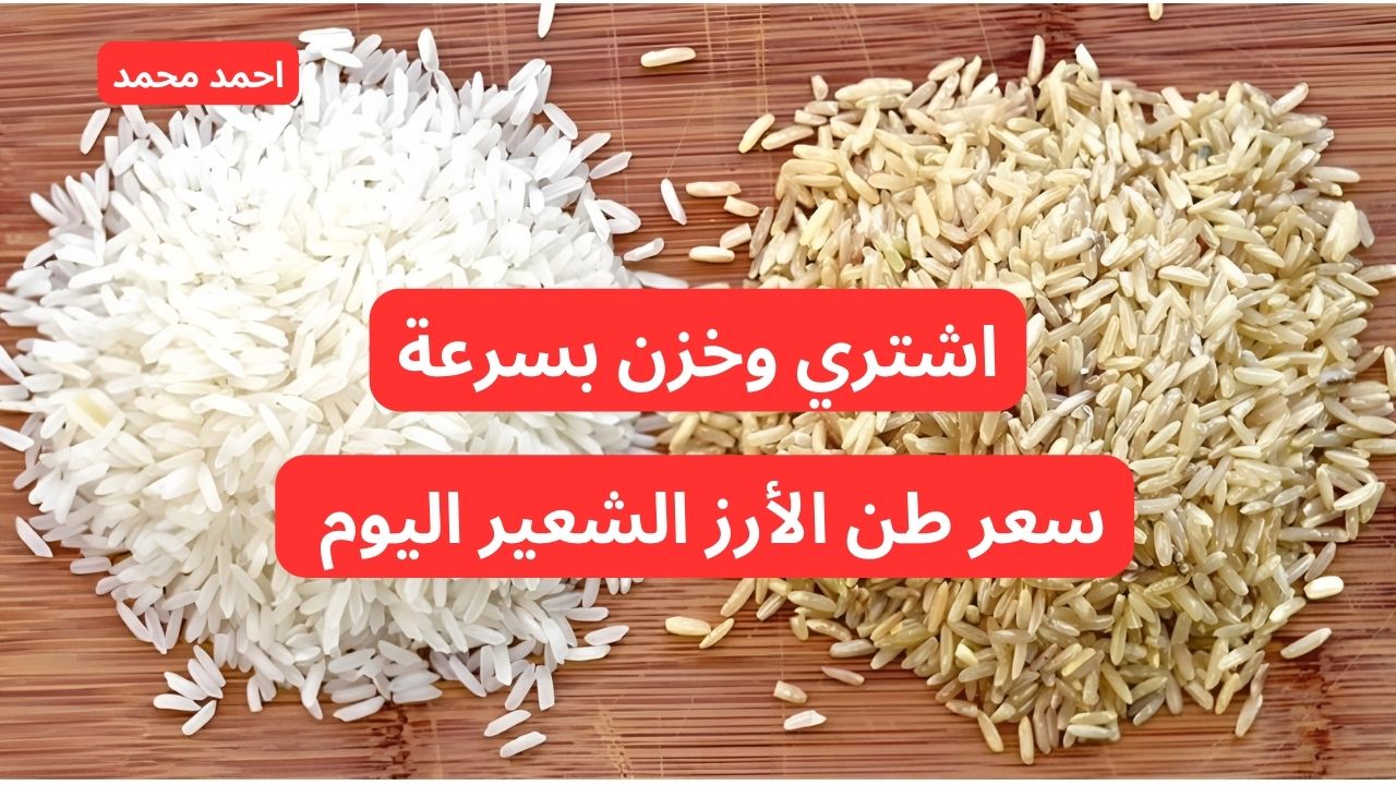 “تراجع في الأسعار”.. سعر طن الأرز الشعير اليوم الخميس.. أسعار الأرز اليوم في المنافذ التموينية!