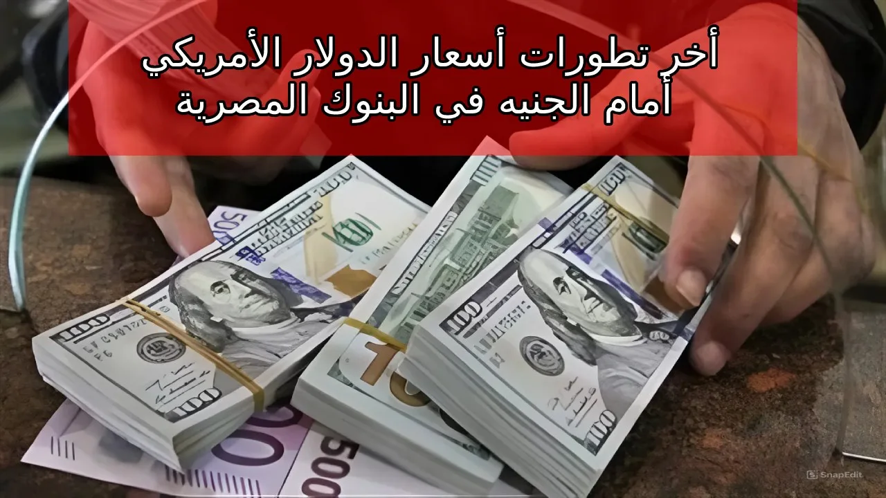 كام أسعار الأخضر النهاردة… اخر التطورات سعر الدولار مقابل الجنية المصري اليوم الأربعاء 16-10-2024 في جميع البنوك المصرية