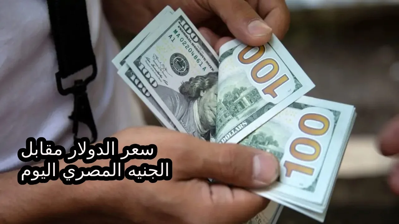 كام أسعار الأخضر النهاردة… اخر تحديث سعر الدولار مقابل الجنية المصري اليوم الأحد 13-10-2024 في جميع البنوك المصرية