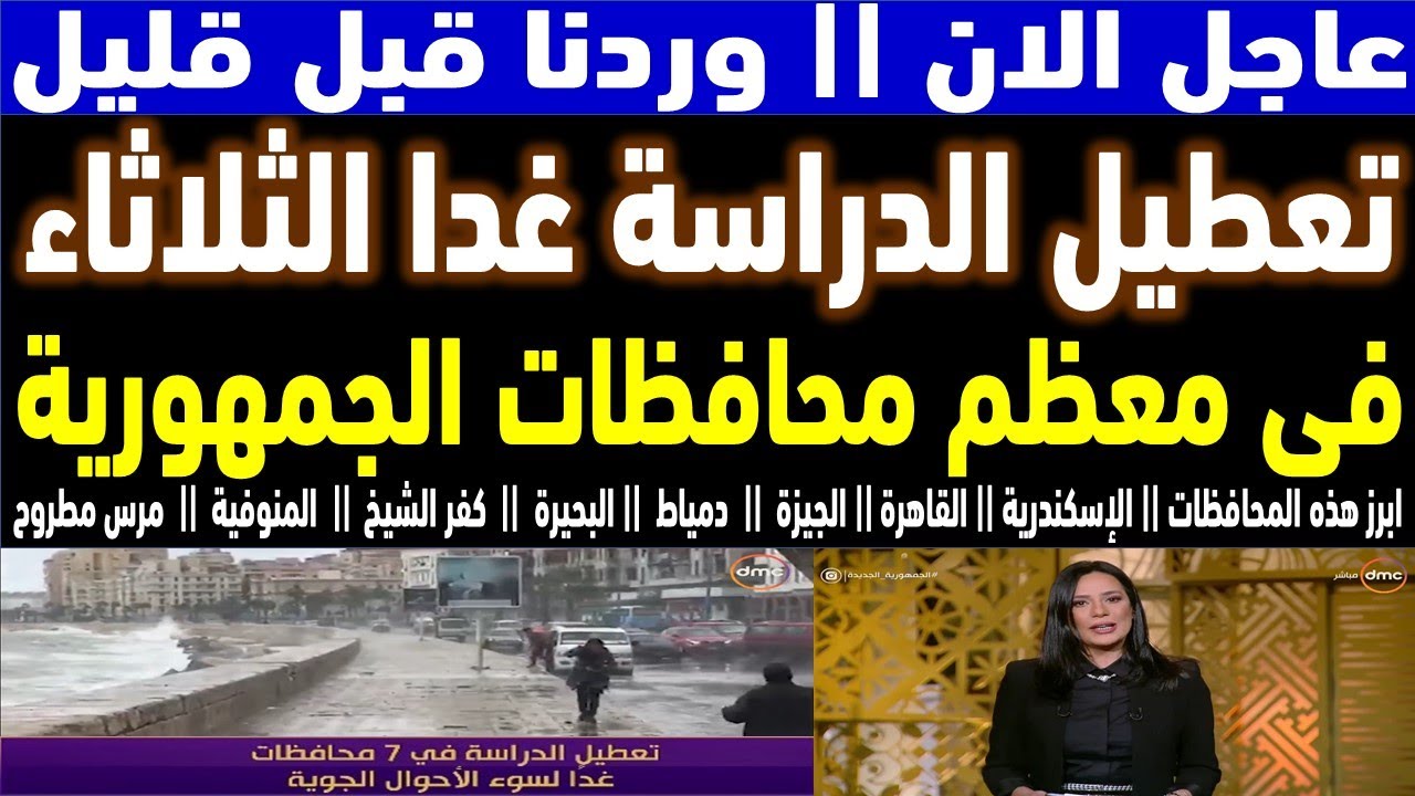 تعطيل الدراسة يوم الثلاثاء في الإسكندرية بسب سوء الاحوال الجوية.. تعرف علي الحقيقة كاملة