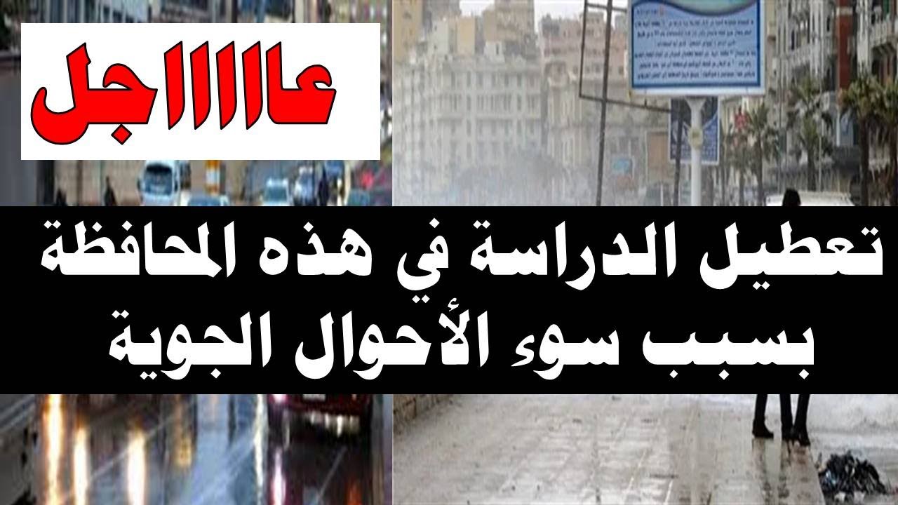 حقيقة تعطيل الدراسة غداً في الاسكندرية.. وفقا لبيان مديرية التربية والتعليم بالإسكندرية