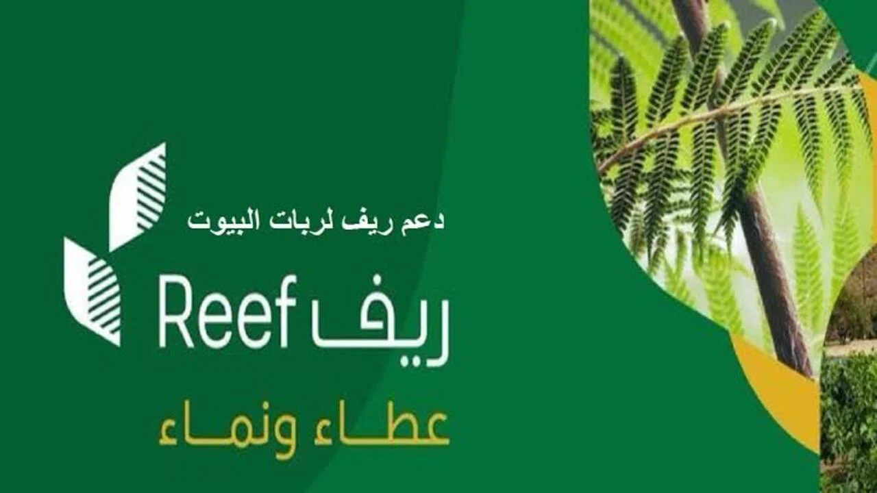 كل ما تحتاج معرفته عن برنامج دعم الريف: شروط الاستحقاق حالات إيقاف الدعم وخطوات التسجيل بالتفصيل