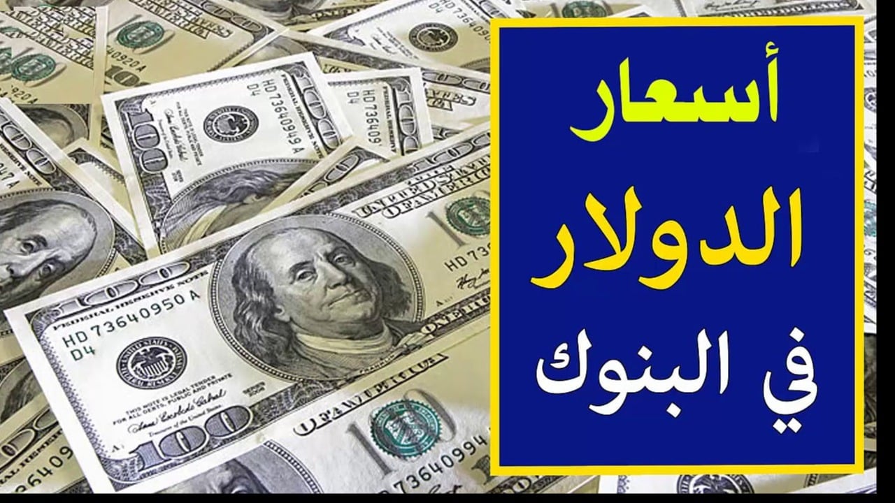 الأخضر بكام؟ سعر الدولار مقابل الجنيه المصري اليوم الثلاثاء الموافق 3 ديسمبر 2024